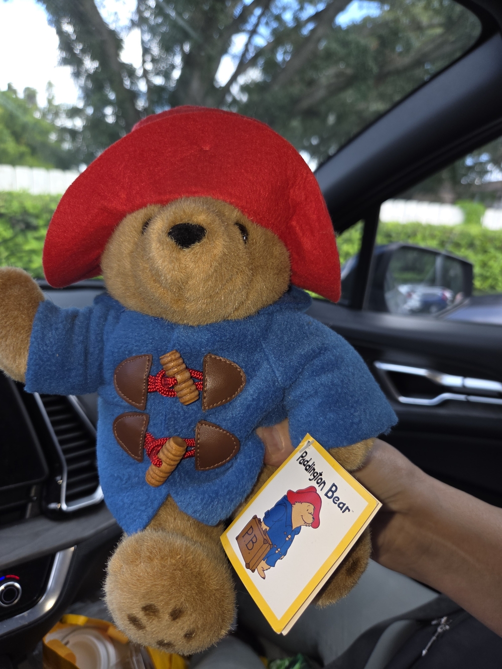 Plush Toy in Blue Coat and Red Hat